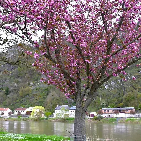 Le Banc Sous Les Tilleuls